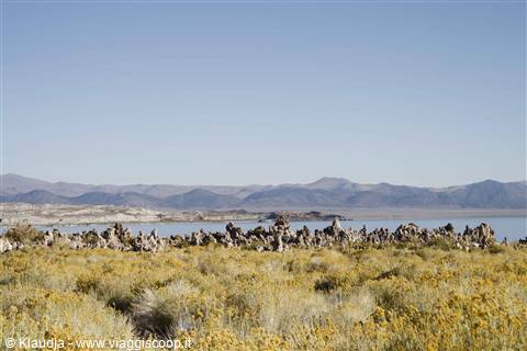 Mono Lake
