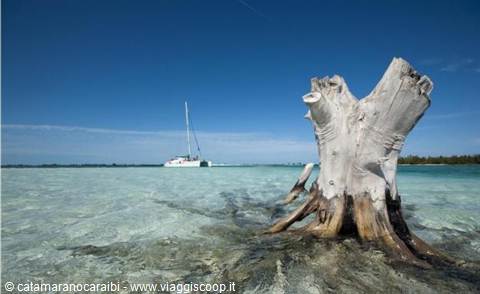 Cuba ùCrociere con catamaranocaraibi.com 
