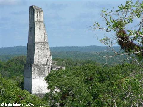 Tikal (Guatemala): le piramidi e la giungla