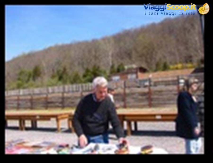 Foto di viaggio in STATI UNITI D'AMERICA