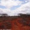 foto viaggio KENYA