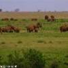 foto viaggio KENYA