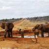 giochi nel fango KENYA 