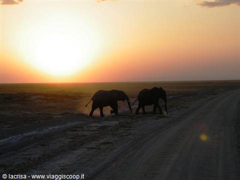 tramonto in amboseli