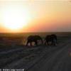 tramonto in amboseli KENYA 
