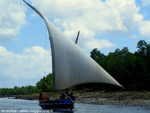 Dhow in navigazione