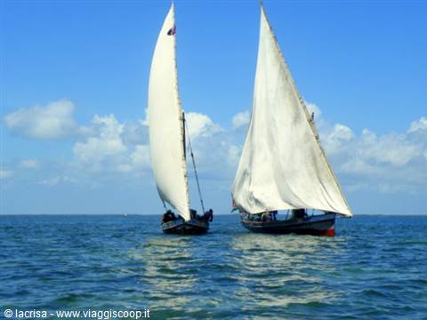 regata tra dhow
