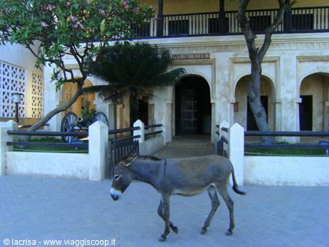 Swahili House Museum