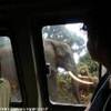 foto viaggio TANZANIA