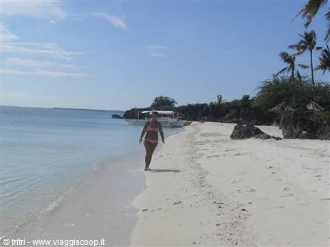 PARADISE BEACH