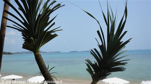 Spiaggia Chaweng Noi