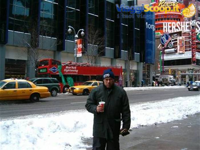 Freddo a New York