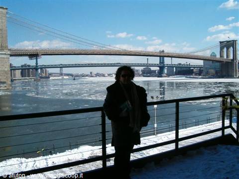 Ghiaccio sotto il Ponte