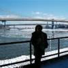 Ghiaccio sotto il Ponte  STATI UNITI D'AMERICA 