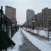 Ground Zero STATI UNITI D'AMERICA 