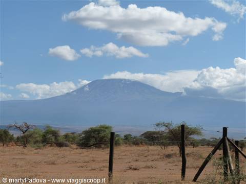 kilimanjaro
