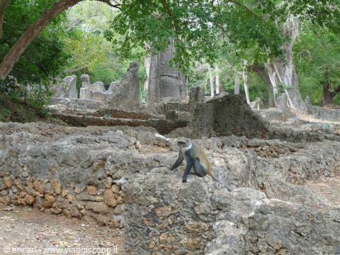 rovine di Gede