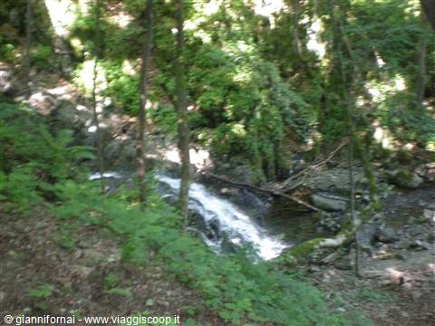 Cascata Parco Monte Vitosha 1500 m.