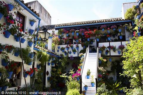 Patio andaluso