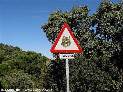 Passaggio linci!