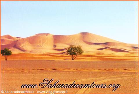 Dune dell Erg-Chebbi