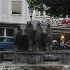 fontana dei bisonti GERMANIA 