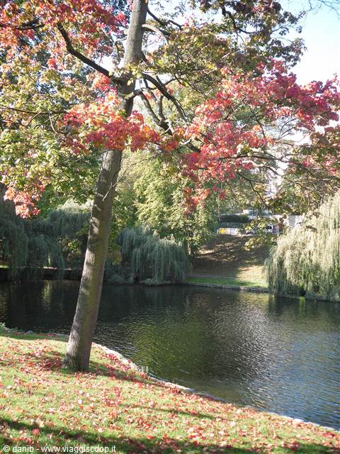 alberi autunnali Laghetti d'Ixelles