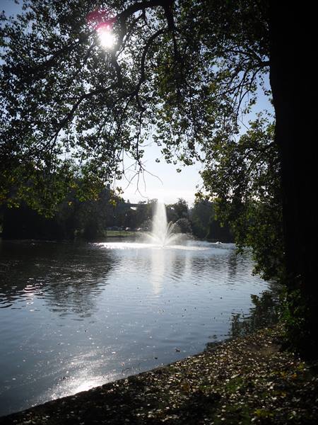 ixelles sgilles