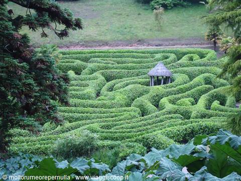 immagine del labirinto dei glendurgan gardens, vicino a st austell