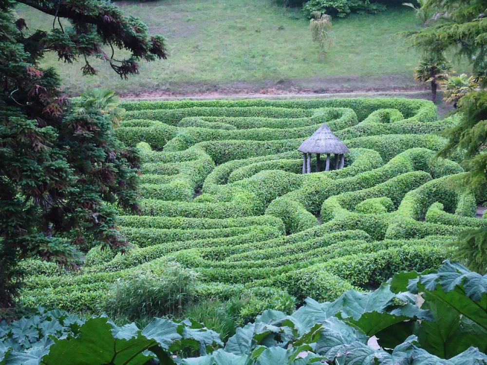 immagine del labirinto dei glendurgan gardens, vicino a st austell