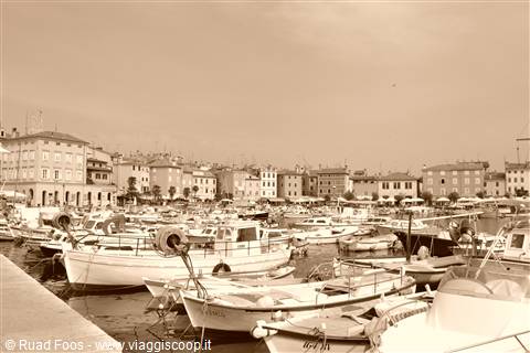 Il porto di Rovigno