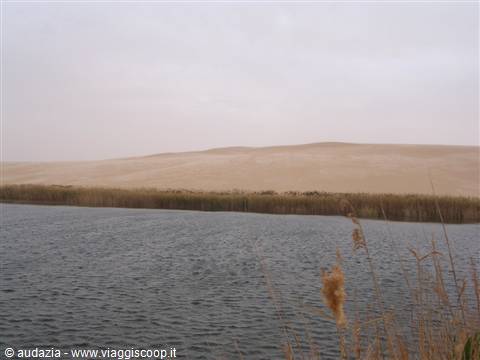 Bir wahe, lago nel Sahara