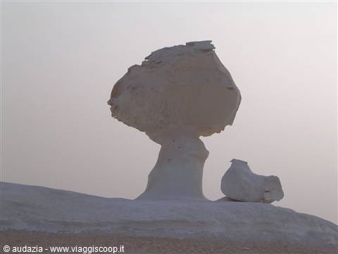 deserto bianco:l'albero e la gallina