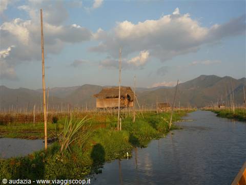 gli orti galleggianti del lago Inle