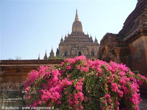 Bagan: Ananda Patho