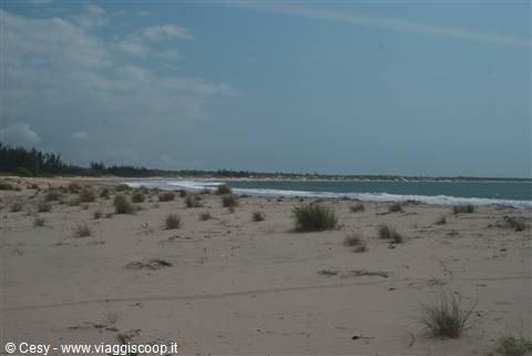spiaggia dorata