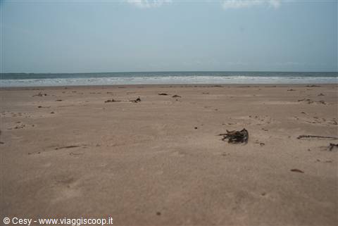 spiaggia dorata