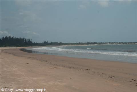 spiaggia dorata