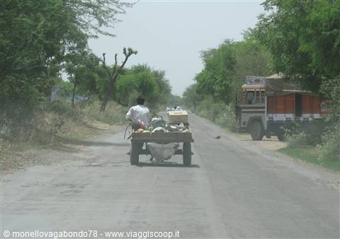 Strada Delhi - Nawalgarh