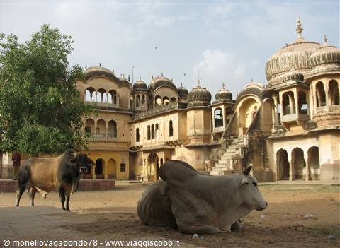 Nawalgarh