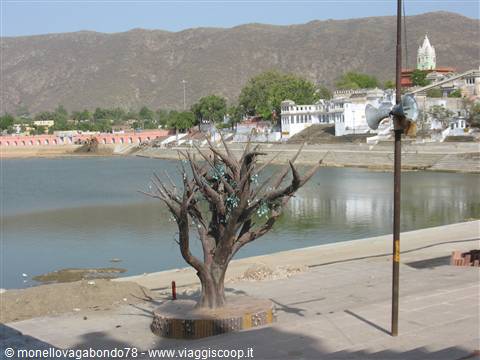 Pushkar Lake