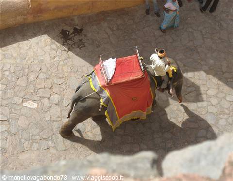 Jaipur - Amber Fort