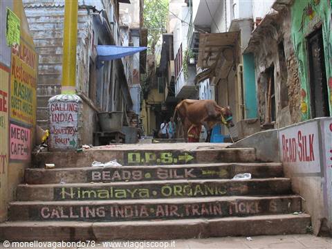 Old Varanasi