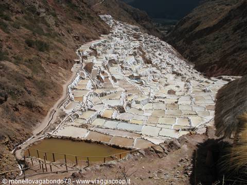 Maras