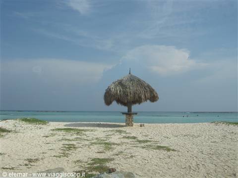 baby beach