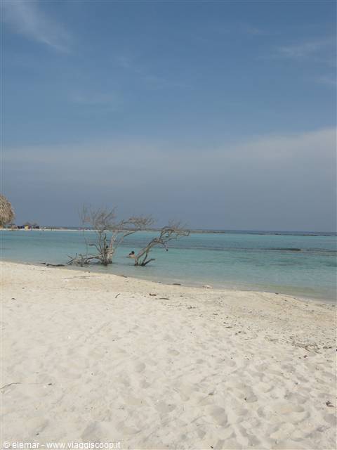 baby beach