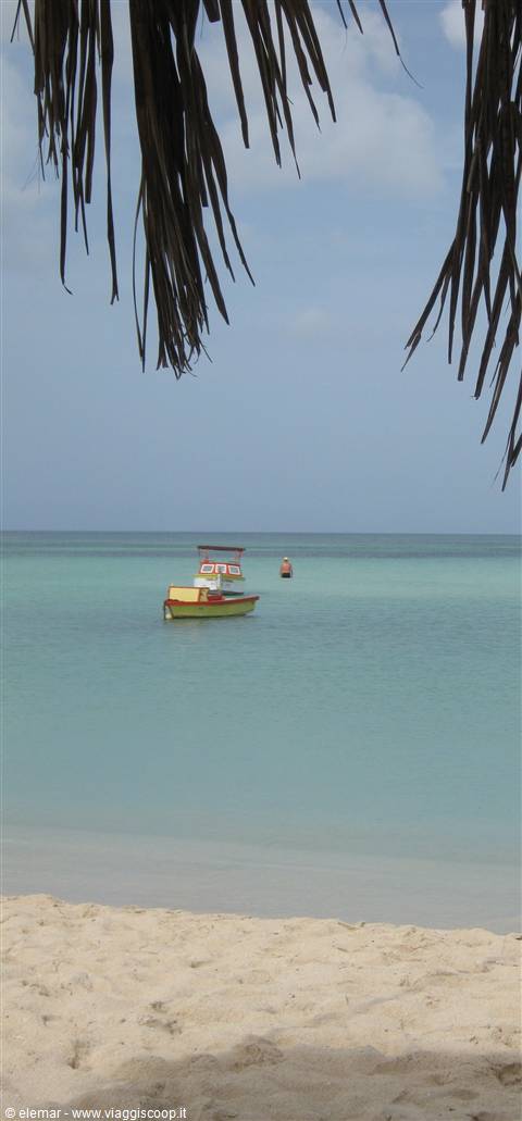 palm beach