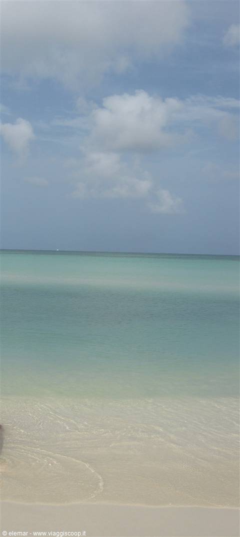 palm beach