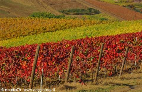 Autunno nel Chianti a Certaldo (FI), i colori della campagna toscana