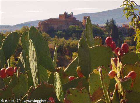 Certaldo Alto (FI) tra i fichi d'india nella campagna toscana